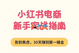 易辰《小红书电商新手实战指南》