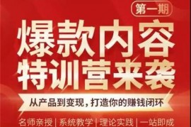 秋天老师《爆款内容特训营第1期》