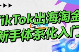 大彬《TikTok出海淘金》