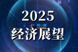 现浪财经《2025年度经济与市场展望》