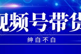 9月红利项目：视频号带货，实测单个账号稳定日收入300左右