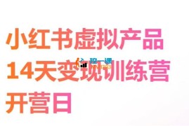 luke《小红书虚拟电商14天训练营》