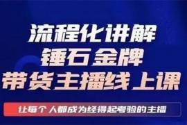 锤石传媒《金牌带货主播线上课》