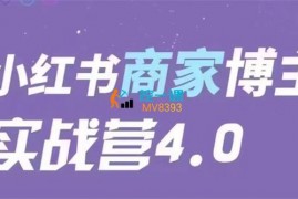 谢无敌《小红书商家博主实战营4.0》