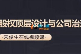 宋俊生《股权顶层设计与公司治理实训营》