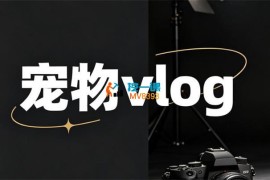 小鑫《宠物vlog的制作》