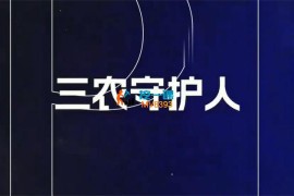 玲珑《三农新媒体电商流量增长实操课》