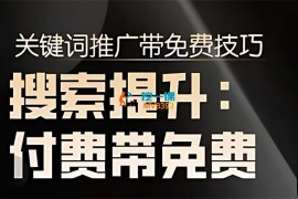 冰可乐《2024无界直通车带搜索玩法》