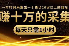 年赚十万的采集站，每天1小时，一年采集出一个售价10W的网站