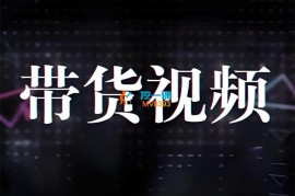 壹壹《短视频带货最新玩法实操》