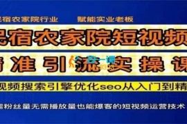 名宿校长《民宿短视频seo搜索精准引流》