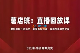 幕思城《薯店班直播回放课》