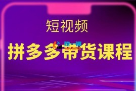 老旋《2024拼多多带货最新课程》