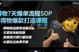 阿力《得物电商合集》