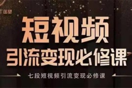 七段《短视频引流变现必修课》