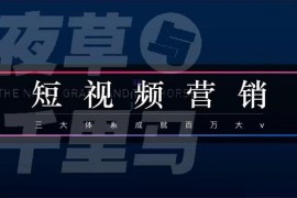 薛辉《7天线上营销系统课22期》