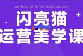 周周《自媒体运营美学课6.0》