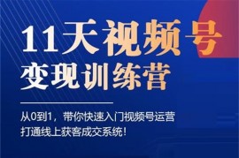 好望角《11天视频号变现训练营》