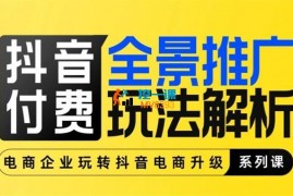 行空《抖音付费全景推广玩法解析》