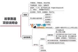 宝哥《故事赛道项目玩法》