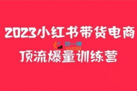 辣条哥《小红书电商带货养生花茶实战》