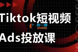 万三《Ads视频投放课》