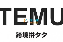 盛哥跨境《海外拼多多TEMU跨境电商实操》