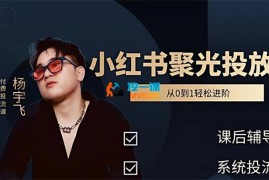杨宇飞《小红书聚光付费玩法》