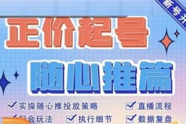 陈吹吹《随心推正价起号》