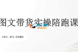 林飞《图文带货实操陪跑课》