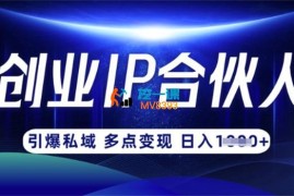 云帆《创业IP合伙人打造3.0》