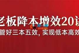 张丽俊《老板降本增效20讲》