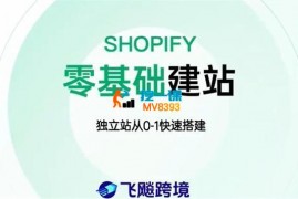 飞飚跨境《零基础独立站从0-1快速搭建》