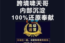 跨境小迈步《漫威跨境电商特训营》