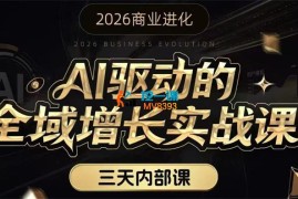 安先生《Ai驱动的全域增长实战课》