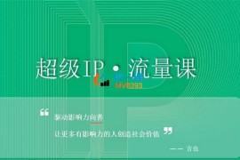 言也《超级IP流量课》