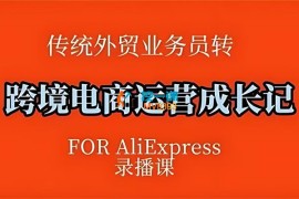 花花《跨境电商速卖通运营录播课》