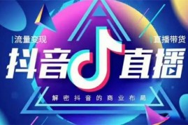 陈霄《直播间操盘手训练营》