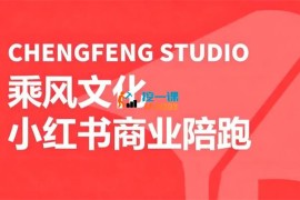 祝威风《小红书季度个人IP商业陪跑营》