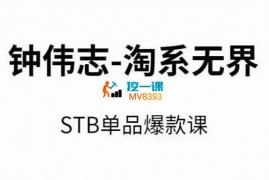 钟伟志《淘系无界STB单品爆款课》
