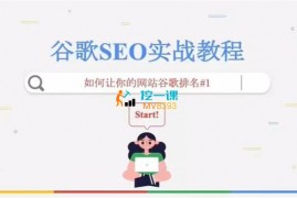 谷歌大叔《谷歌SEO实战教程》