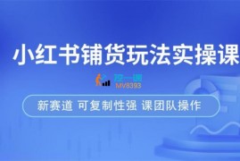 柳莱《小红书铺货玩法实操课》