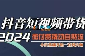 威威妈《短视频带货千川课》