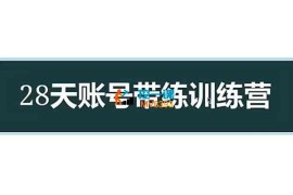 某博主《28天账号带练训练营》