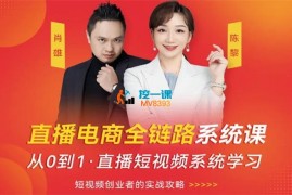 肖雄《直播电商全链路系统课》