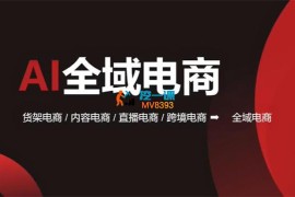 钱莹《AI全域电商》