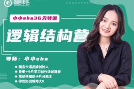 小小sha《逻辑结构思维营》