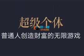 村长《超级个体2024-2025翻盘指南》