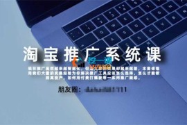 大海《淘宝高阶付费推广课》