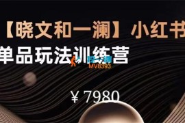 晓文和一澜《小红书单品玩法训练营》